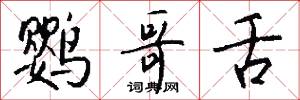 鹦哥舌怎么写好看