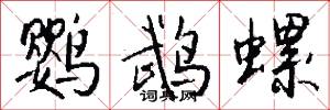 鹦鹉螺怎么写好看