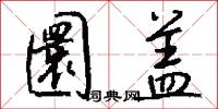 圜盖怎么写好看