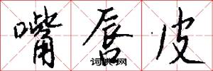 嘴唇皮怎么写好看