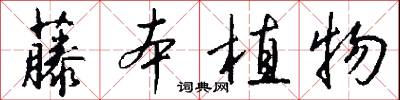 藤本植物怎么写好看