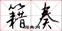 籍奏怎么写好看