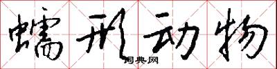 蠕形动物怎么写好看