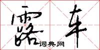 露车怎么写好看