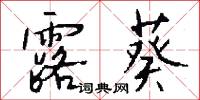 露葵怎么写好看