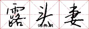 露头妻怎么写好看