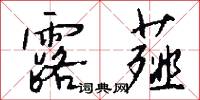 露薤怎么写好看