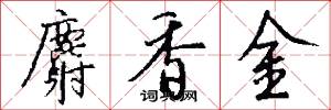 麝香金怎么写好看