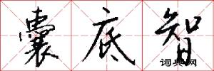 囊底智怎么写好看