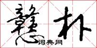 戆朴怎么写好看