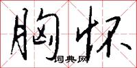 胸怀怎么写好看