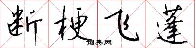 断梗飞蓬怎么写好看
