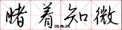 睹着知微怎么写好看