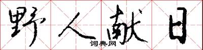野人献日怎么写好看