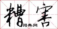 糟害怎么写好看