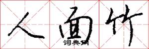 人面竹怎么写好看