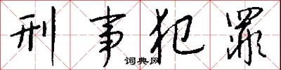 刑事犯罪怎么写好看