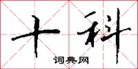 十科怎么写好看