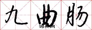 九曲肠怎么写好看