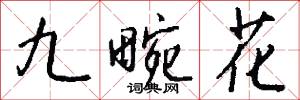 九畹花怎么写好看