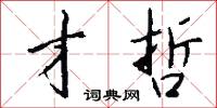 才哲怎么写好看