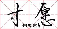 寸愿怎么写好看