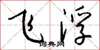 飞浮怎么写好看