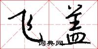飞盖怎么写好看