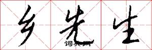 乡先生怎么写好看