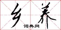 乡养怎么写好看