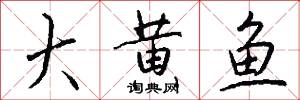大黄鱼怎么写好看