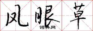 凤眼草怎么写好看