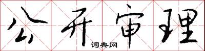 公开审理怎么写好看