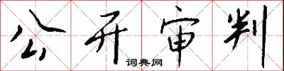 公开审判怎么写好看