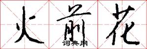 火前花怎么写好看