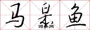 马皋鱼怎么写好看