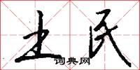 土民怎么写好看