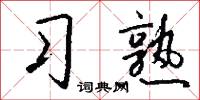 习熟怎么写好看