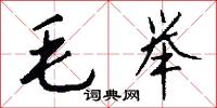 毛举怎么写好看
