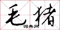 毛猪怎么写好看