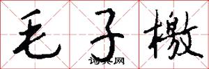 毛子檄怎么写好看