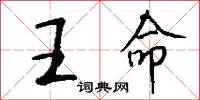 王命怎么写好看
