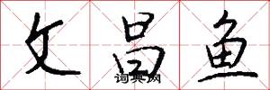 文昌鱼怎么写好看