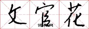 文官花怎么写好看