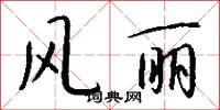 风丽怎么写好看