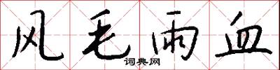 风毛雨血怎么写好看