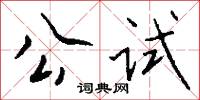 公试怎么写好看