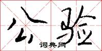 公验怎么写好看