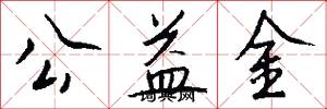公益金怎么写好看