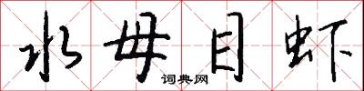 水母目虾怎么写好看